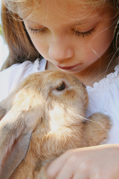 Chica y conejo
 - Foto, imagen