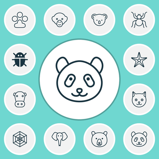 Ícones do zoológico conjunto com panda, aracnídeo, elementos urso macaco. Ícones isolados do zoológico da ilustração do vetor
. - Vetor, Imagem