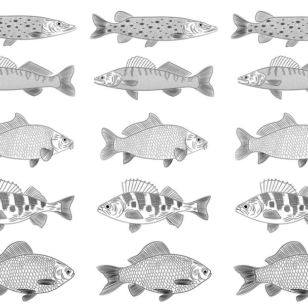 Popular river fish. The fish are drawn parallel to each other. Pike, pike perch, crucian carp, carp, perch. Sketch, pattern, vector illustration. - Vettoriali, immagini