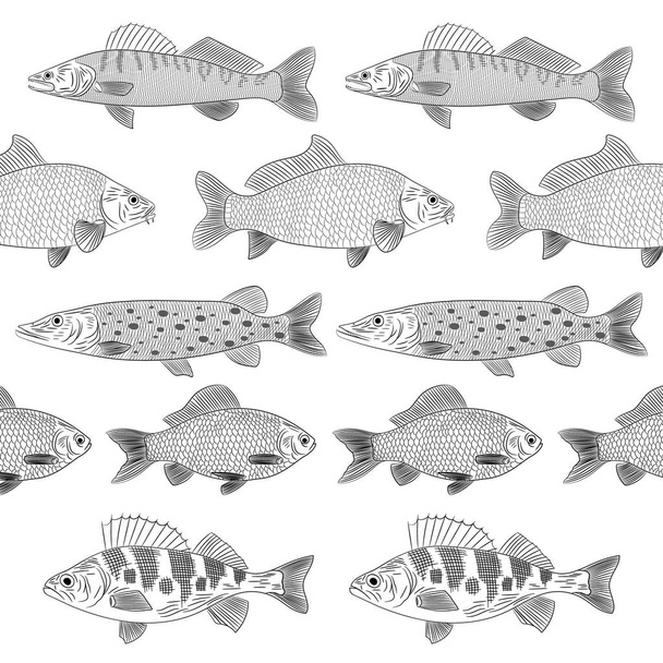 Set of painted popular river fishes. The fish are drawn parallel to each other. Pike, pike perch, crucian carp, carp, perch. Sketch, pattern, vector illustration. - Vector, Image