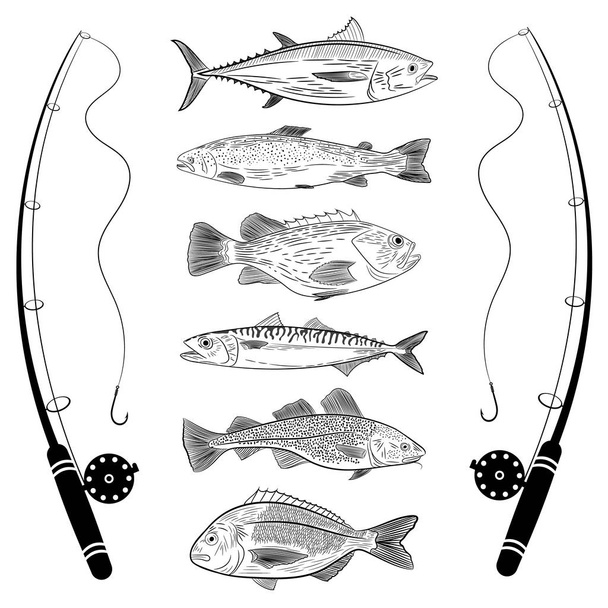 Set of popular sea fish and fishing rods. Tuna, dorado, cod, sea bass, salmon, mackerel. Vector illustration on a theme of catching sea fish - Vector, Image