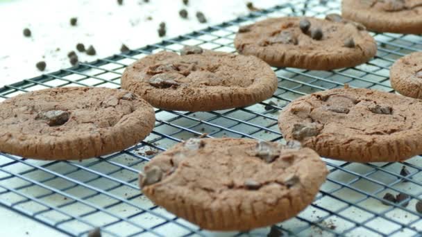 metal ızgara üzerinde çikolata damla ile lezzetli ev yapımı kurabiye  - Video, Çekim