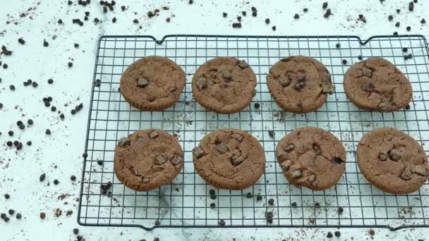 νόστιμα σπιτικά μπισκότα με σταγόνες σοκολάτας στο μεταλλικό πλέγμα  - Πλάνα, βίντεο