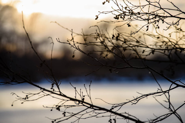 凍った川の氷の上のカラフルな冬の夕日は、背景をぼかし - 写真・画像