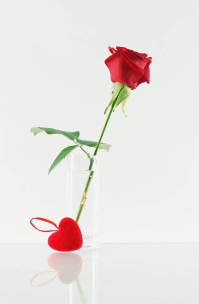 Rose and heart - Fotografie, Obrázek