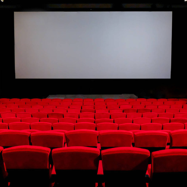Пустой красный стул в сиденьях кинотеатра
. - Фото, изображение