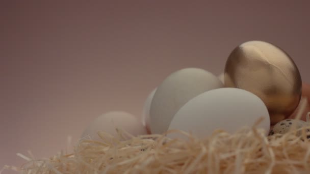 closeup pan video of different kind of eggs with a golden one - Filmagem, Vídeo