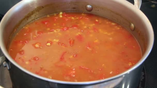 pomidor soczewicy i jęczmienia zupa wrzenia - Materiał filmowy, wideo