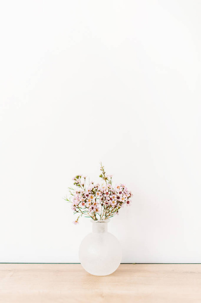 Wild flowers in front of white wall. Minimal composition. - Foto, Imagen