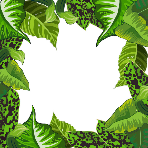 Vector frame with  tropical leaves - Wektor, obraz
