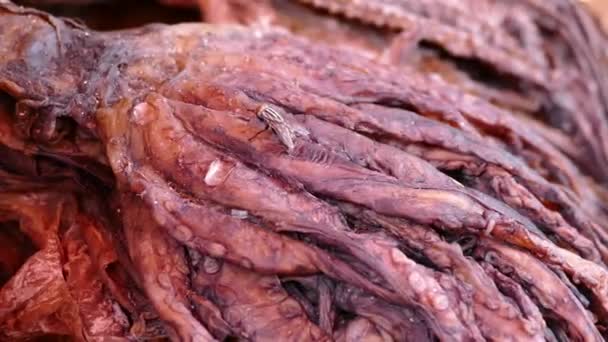 ruwe octopus op een markt voor traditionele levensmiddelen in Afrika - Video