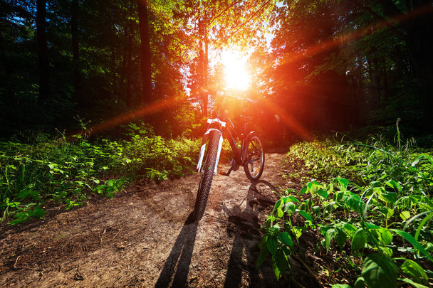 Mountain  bicycle in forest. - Zdjęcie, obraz
