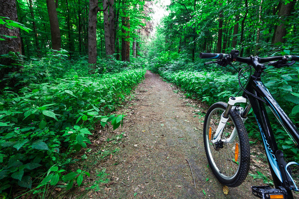 Mountain  bicycle in forest. - Foto, imagen