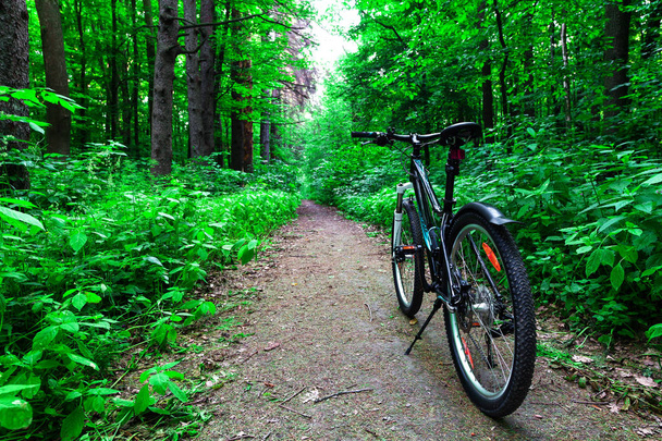 Riding on  bicycle   in park   - Foto, Imagen