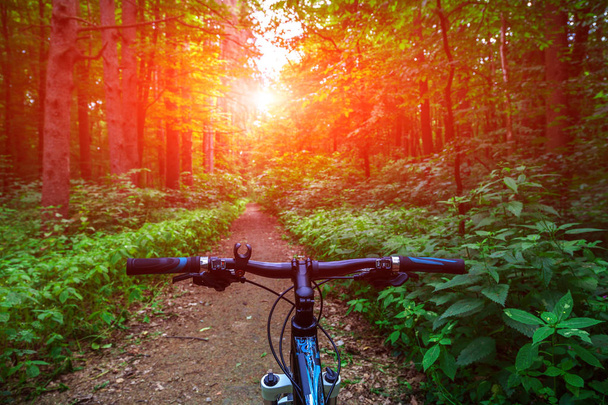 Mountain  bicycle in forest. - Zdjęcie, obraz