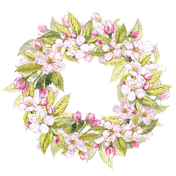 Hand-drawn watercolor wreath of flowers of apples and leaves illustration. Watercolor botanical illustration isolated on white background. - Fotografie, Obrázek