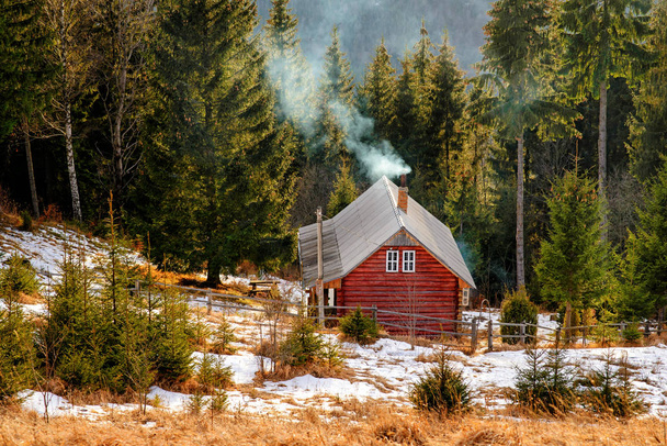 Вид на карпатский сосновый домик
 - Фото, изображение