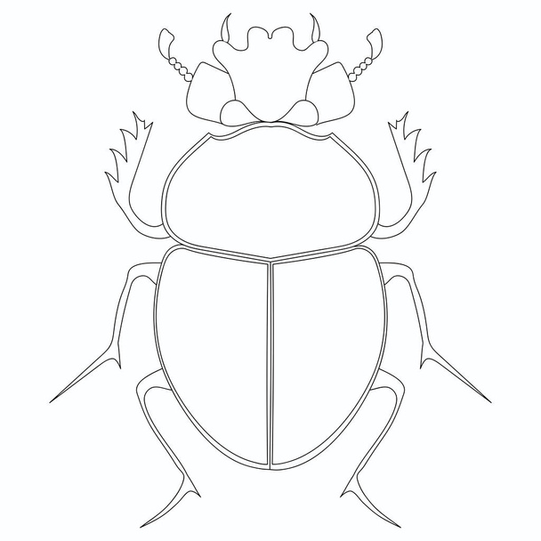 Colorear vector. Escarabajo escarabajo egipcio
. - Vector, Imagen