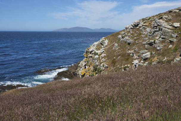 Skalnaté severní pobřeží ostrova Carcass na Falklandských ostrovech - Fotografie, Obrázek