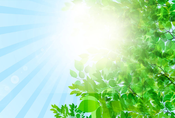 新鮮な緑葉の風景の背景 - ベクター画像