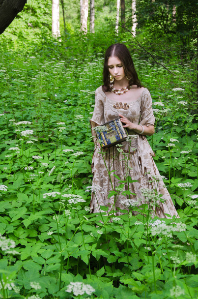 woman in a long vintage dress goes among tall grasses and carrie - Foto, imagen