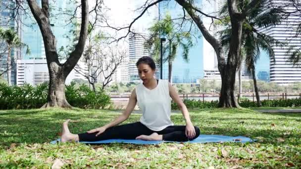 Jeune femme asiatique yoga en plein air garder le calme et médite tout en pratiquant le yoga pour explorer la paix intérieure. Yoga et méditation ont de bons avantages pour la santé. Yoga Sport et mode de vie sain concept
. - Séquence, vidéo