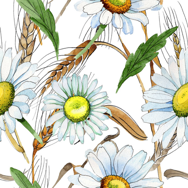 Wildflower chamomile flower pattern in a watercolor style. - Fotografie, Obrázek