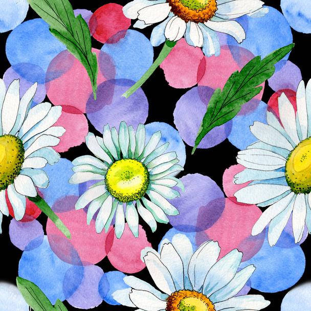 Wildflower chamomile flower pattern in a watercolor style. - Valokuva, kuva