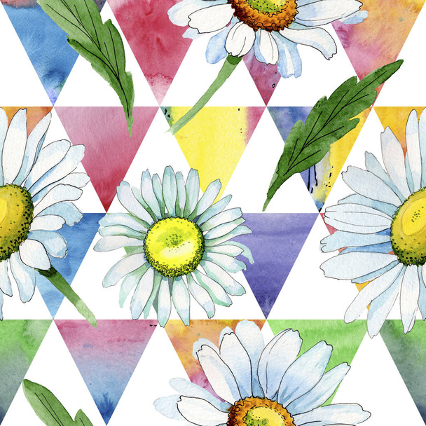 Wildflower chamomile flower pattern in a watercolor style. - Foto, Bild