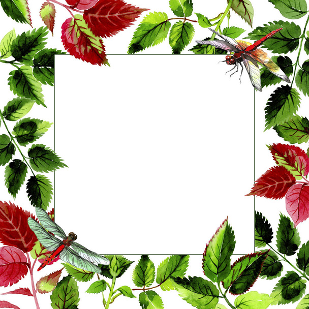 Leaves of rose frame in a watercolor style. - Φωτογραφία, εικόνα