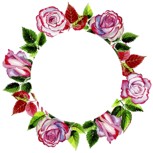Leaves of rose wreath in a watercolor style. - Zdjęcie, obraz