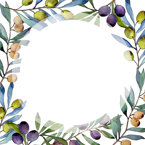 Olive tree frame in a watercolor style. - Фото, изображение