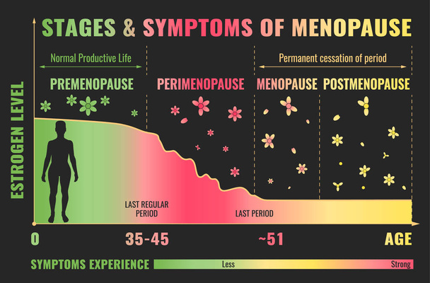 Menopoz Infographic aşamaları - Vektör, Görsel