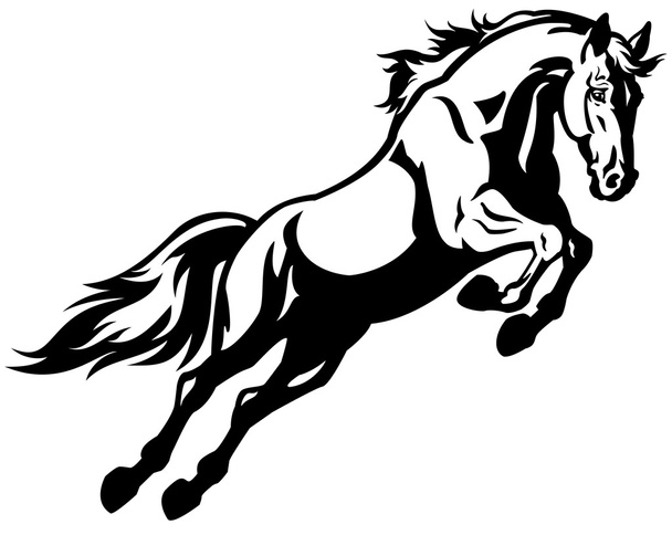 Jumping caballo negro blanco
 - Vector, imagen