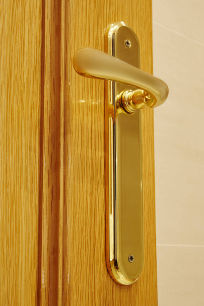 Χρυσή πόρτα κομβίο λεπτομέρεια σε μια δρυς ξύλινη πόρτα - Φωτογραφία, εικόνα