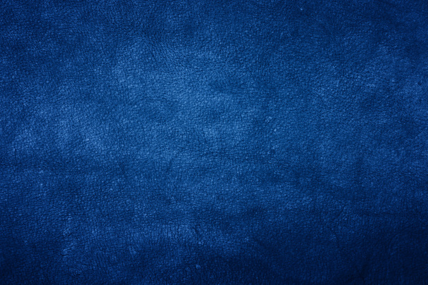 μπλε δέρμα - Φωτογραφία, εικόνα