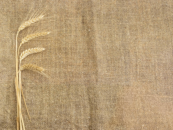 Pozadí z pytloviny s uši pšenice v levé části - Fotografie, Obrázek