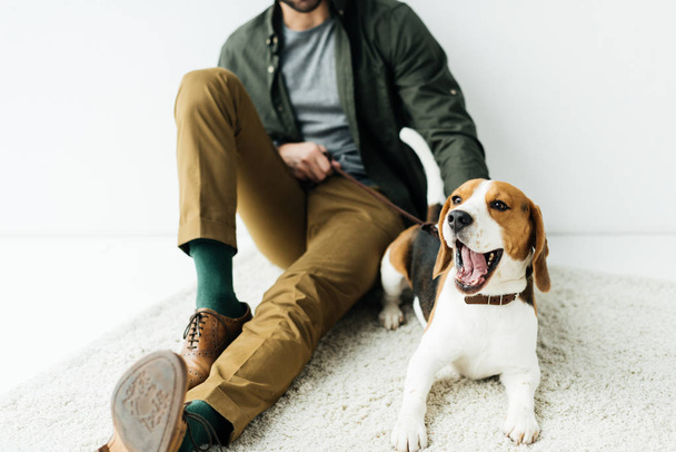 cropped image of man sitting with yawning dog on carpet - Фото, изображение
