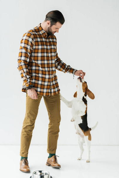 handsome man feeding dog on white - Zdjęcie, obraz