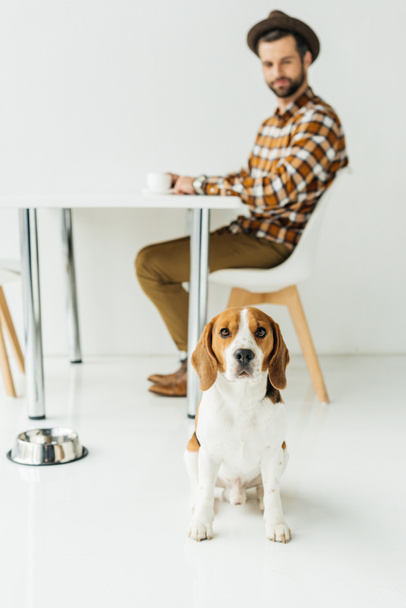 man drinking coffee, dog sitting on floor - Foto, afbeelding