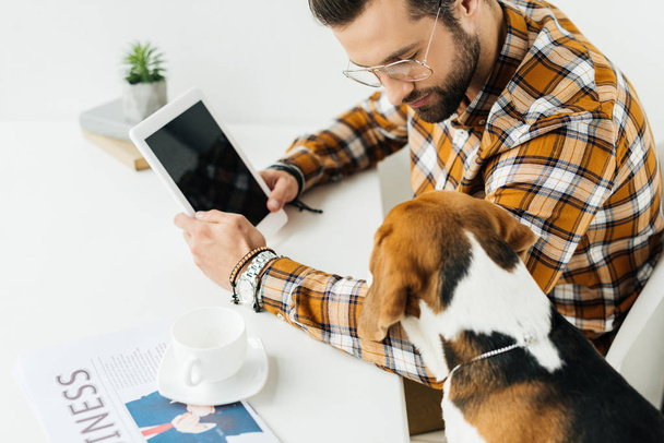 gutaussehender Geschäftsmann zeigt Hund etwas auf Tablet - Foto, Bild