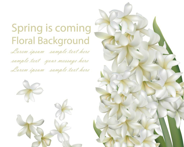 ヒヤシンスの白い花の花束は、現実的なベクトルの背景を分離しました。春はカード イラスト - ベクター画像