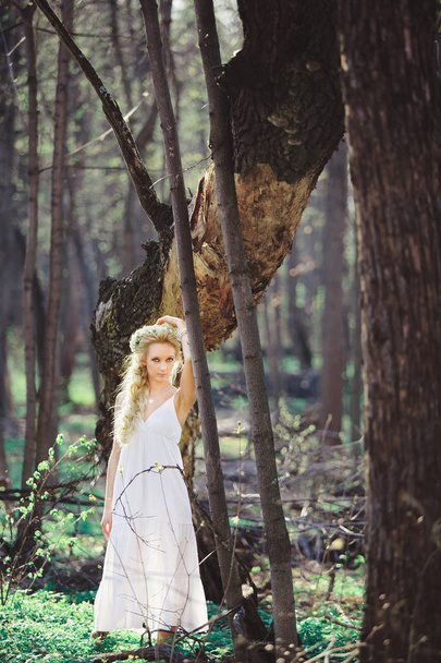 young woman with blond hair in white dress forest among trees. - Φωτογραφία, εικόνα