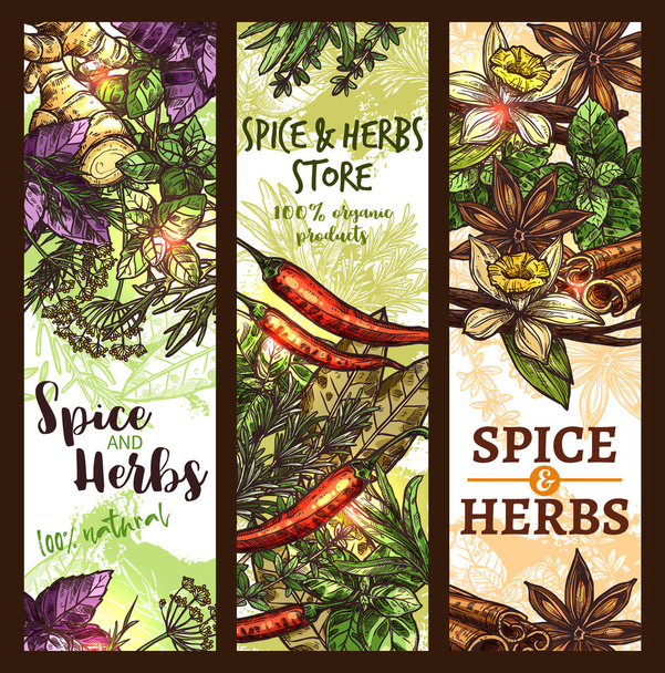 Vector sketch spices and herbs store banners - Vector, Image