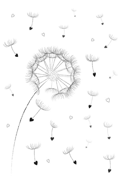 Paardebloem bloemzaden in een hart vorm flyingin de lucht geïsoleerd op de verticale witte achtergrond, vector illustratie - Vector, afbeelding
