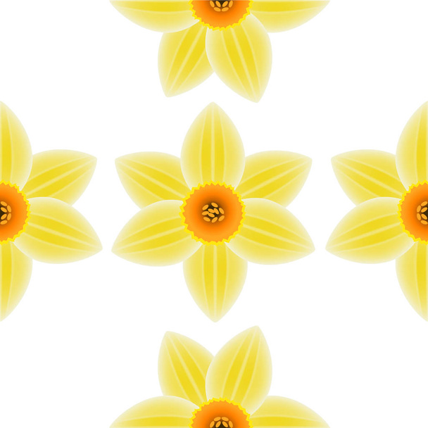 Flowers of a daffodil on a white background, seamless pattern. - Vector, Image