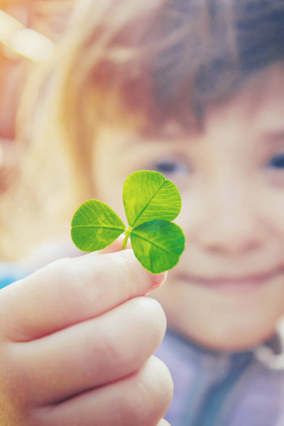 Clover leaf. Happy St. Patrick's Day. Selective focus.  - Photo, Image