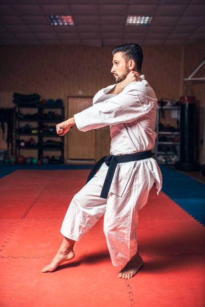 lutador em quimono branco com cinto preto, treinamento de karatê no ginásio
 - Foto, Imagem