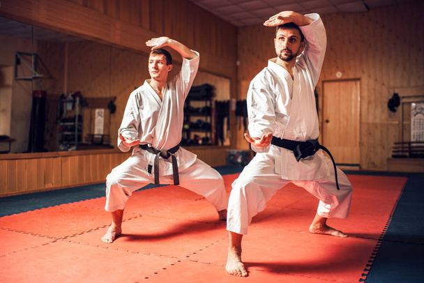 Martial arts karate masters in white kimono and black belts, fight training in gym - Photo, Image