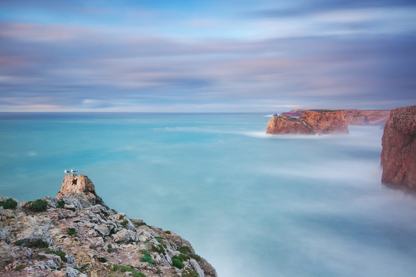 Beautiful seascape of rocks and seagulls. Blurred sea. - Fotoğraf, Görsel